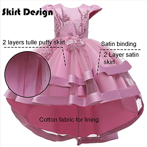 Girl Dress Embroidery Birthday Sleeveless Wedding Trail Puffy Tulle Layer Skirt Hem4