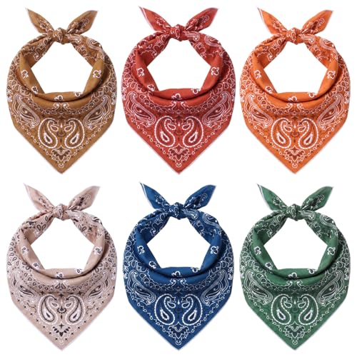 Janmercy 6 Pack Paisley Cooling Bandanas Bulk Unisex Summer Boho Lightweight Quick Drying Ice Bandana Scarf Cooling Neck Wraps for Running Cycling Hiking 24 x 24 Inches