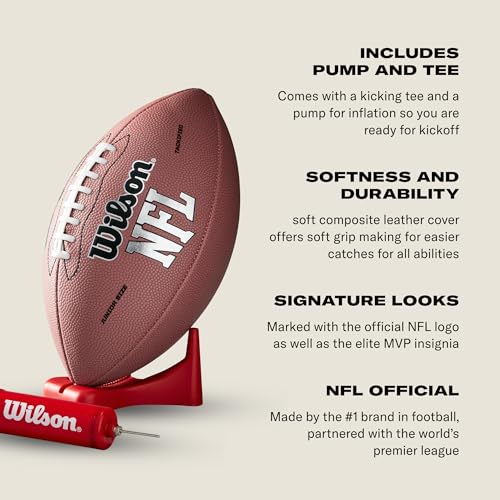 Image of WILSON NFL Recreational Footballs