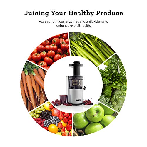 Omega Vertical Slow Masticating Juice Extractor 43 Rpm Compact Design With Automatic Pulp Ejection, 150-Watt, Silver #TOP3