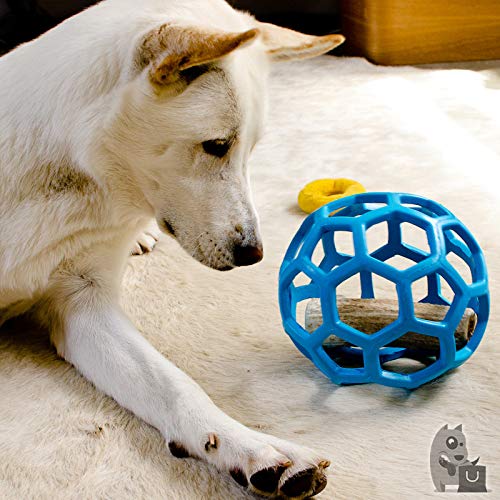 JW Bola Holee Roller Mini Azul Para Cães Para Cães Mini Azul