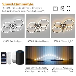 ycwdcz Plafonnier Ventilateur de Plafond Compatible avec Alexa, Google Assistant, Rond Luminaire Plafonnier Ventilateur Silencieux, Dimmable, Moteur DC, Mode Eté/Hiver, Lampe Ventilateur Plafond