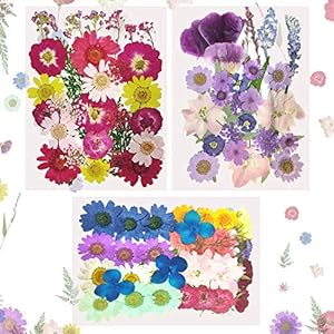 94 stks Echte Gedroogde Geperste Bloemen Nagels Gedroogde Bloemblaadjes Gemengde Meerdere Natuurlijke Gedroogde Bloemen…