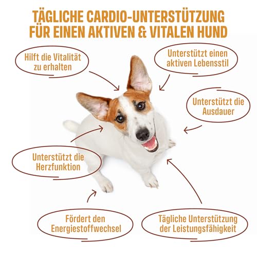 ivvi Cardio für Hunde – 60 weiche Snacks mit L-Carnitin, Taurin, L-Arginin, Magnesium, Lachsöl, Weißdornbeeren & Granatapfel… – Ansicht 3
