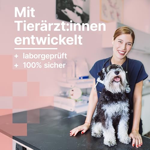 MediBark Relax & Chill – Hundeleckerli mit Baldrian & Passionsblume – Natürliches Beruhigungsmittel für Hunde – Mit Vitamin-B-Komplex – Hunde Leckerlis gegen Stress & Angst – 225 Stück