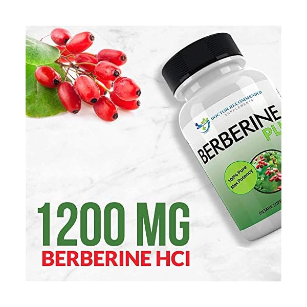 DOCTOR RECOMMENDED SUPPLEMENTS Berberine Plus 1200mg Per Serving - 120 Veggie Capsules with Royal Jelly