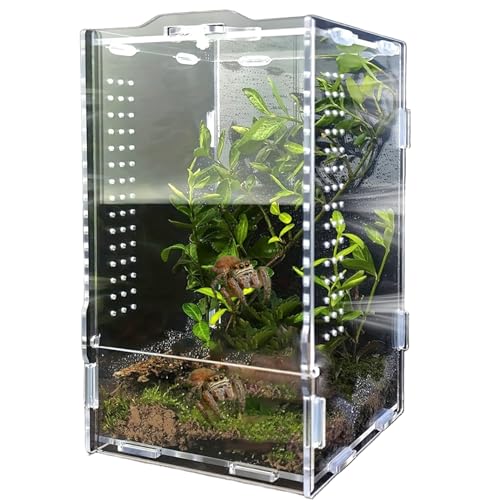 Caja de hábitat de araña saltadora antifugas con flujo de aire óptimo 2