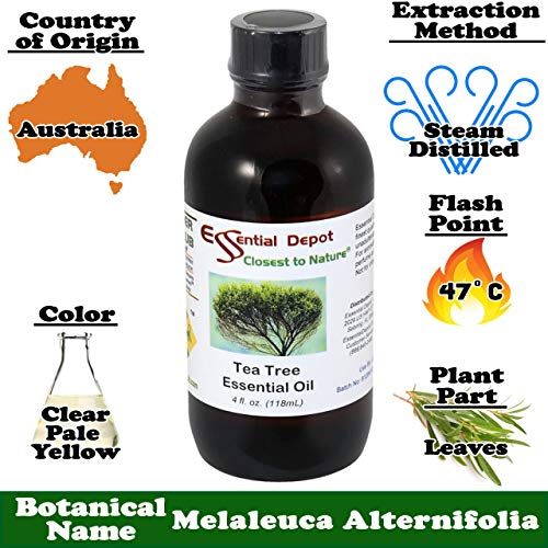Aceite esencial de árbol de té Essential Depot 4 oz miniatura 2