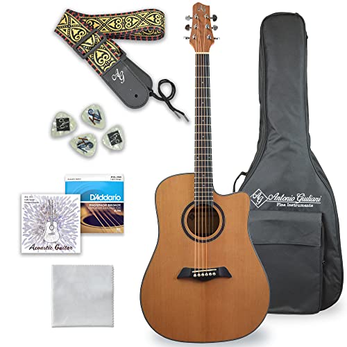 Antonio Giuliani Acoustic Guitar
