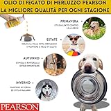 PEARSON B084SCPFCB lato 2