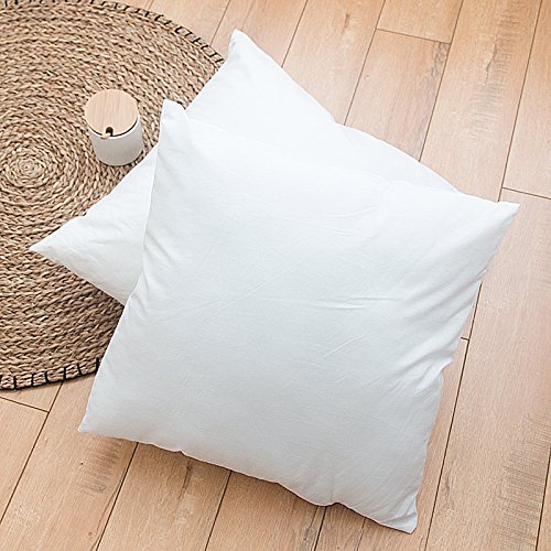 Izo Home Goods Throw Pillow Inserts Outdoor Water Resistant (Polyester, 18" X18") #TOP2