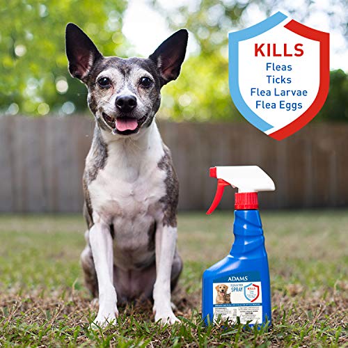 Adams Flea & Tick Spray For Dogs and Cats Kills Fleas and Ticks