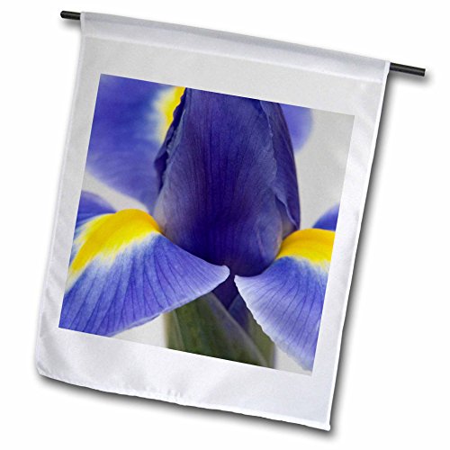 3dRose fl_83451_1 Purple Iris Flower-NA01 JWI0011-Jamie and Judy Wild Garden Flag, 12 by 18-Inch -  3D Rose - LG