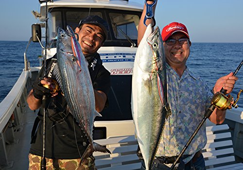 ABU GARCIA SALTYSTAGE Shore Skid JIG SSSHRSJ30-MAJ