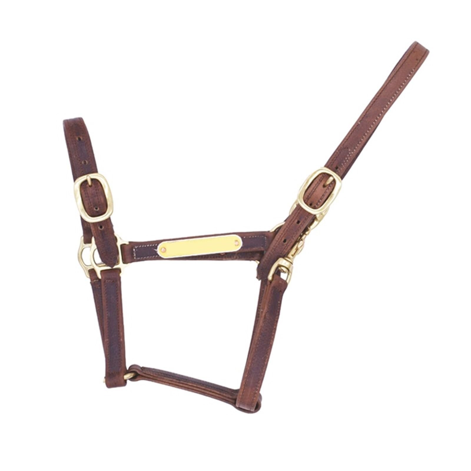 Brida y riendas for Caballos Collares for Cabeza de Caballo Equipo for Caballos Cabestro de Cuero for Caballos para Caballos(XL-Full)