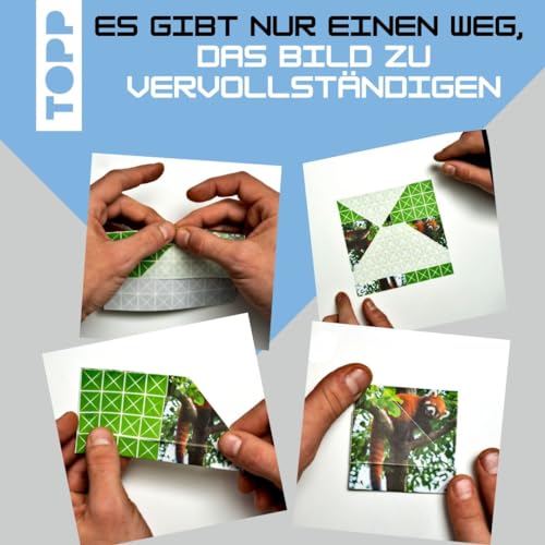 Foldology – Das Origami-Rätselspiel: 100 einzigartige Falträtsel für helle Köpfe und geschickte Hände Jung und Alt!