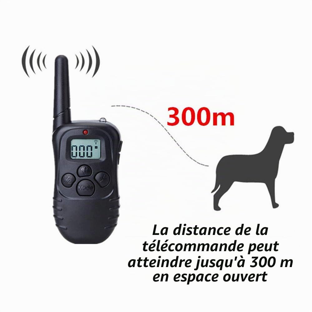 Petainer Collier de Dressage - Portée 300m - Ecran LCD - Etanche Rechargeable (Deux Colliers)