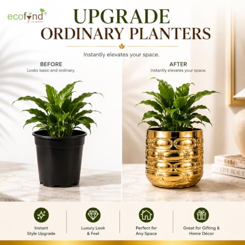 Image of ecofynd 1 Pack Metal Plant Pots (5 inch), Indoor Small Planter Flower Pots, Home Garden Decor Planter for Living Room Bedroom Interior (Gold Finish, POT056)