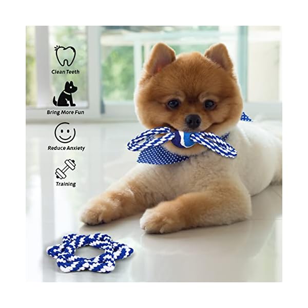 Cotton Rope and Tennis Fun for Dogs