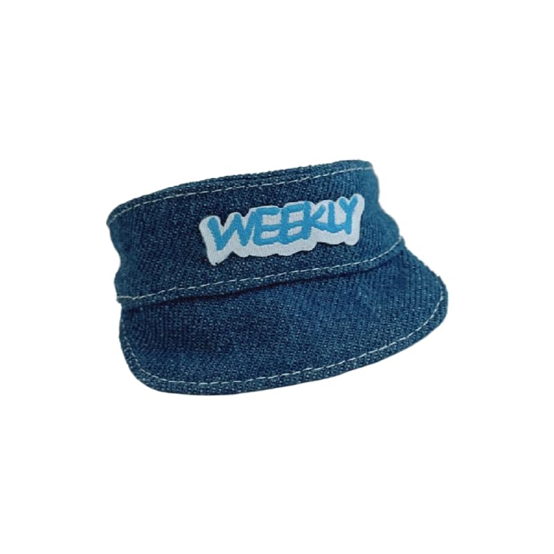Juego de ropa de muñeca Labubu de 17 cm para accesorios Labubu de 17 cm, no solo ropa de muñeca (1 sombrero de pico de pato)