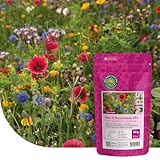 Bienen- und Hummelmischung ein- und mehrjährig - 250 Gramm für 125 m² - Blumensamen für Hummeln, Wildbienen und Honigbienen - Für eine bunte, ökologische Bienenoase - Wildblumensamen