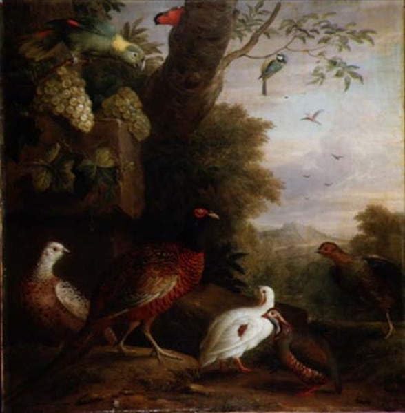 Lienzo decorativo para pared de pájaros en un paisaje de Jakob Bogdani 60x90cm