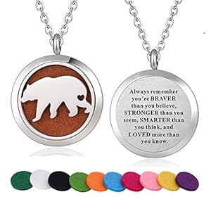 Stainless Steel American Bear Aroma...
