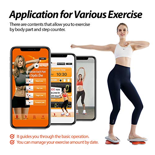 DIPDA Line Compact Core Twisters for Home Gym - Workout Twist Boards for Exercise Twister | Twister Exercise Board | Ab Board Exercise Twister Board As Seen on TV | Twisting Waist Exercise Equipment