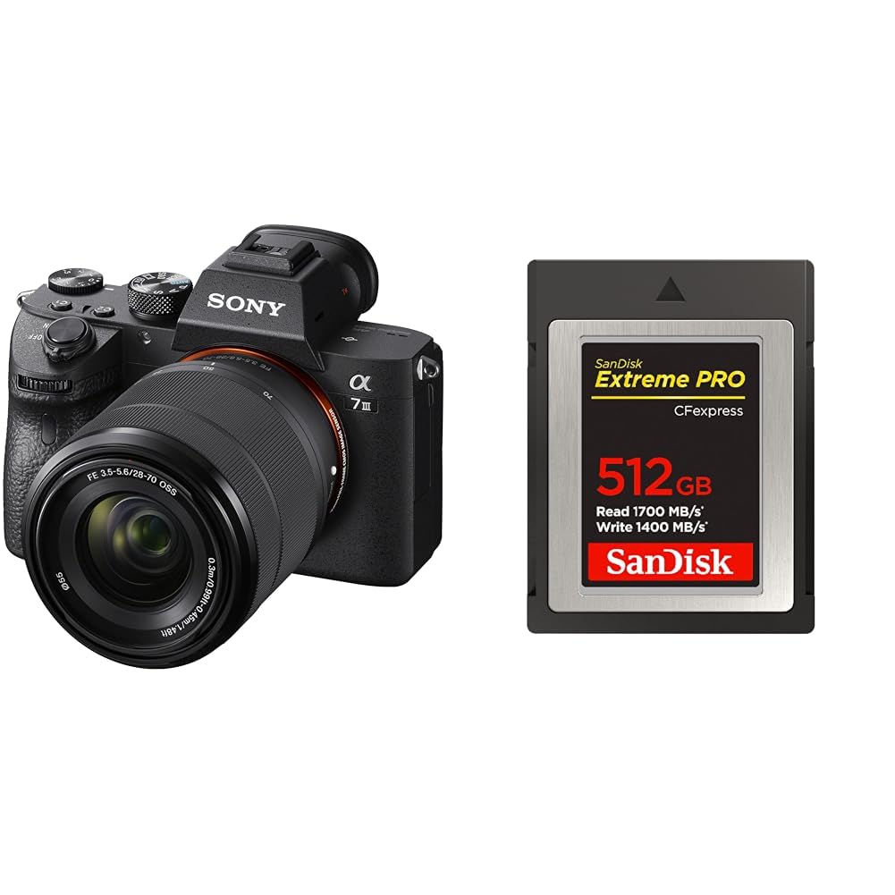 Amazon | SONY(ソニー) フルサイズ ミラーレス一眼カメラ α7III ズーム