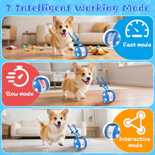 Pipihome Interaktives Hundespielzeug, Interaktiver Spielball für Hunde, Hundespielzeug Intelligenz Hundeball mit Schwanz, Hunde Ball Dog Toys für Hunde Kleine, Mittlere, Große