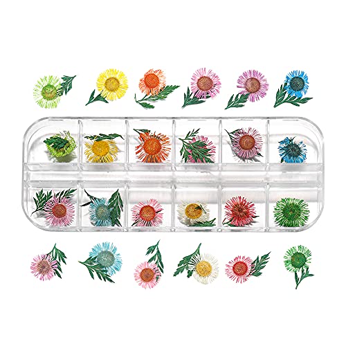 Caja de Flores Secas Naturales para Manualidades miniatura 2