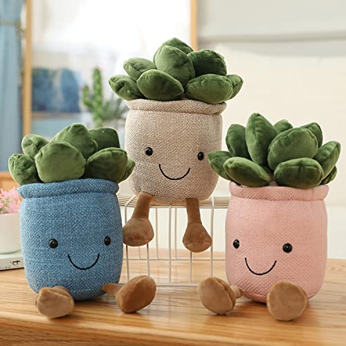 Listado y reviews de Cactus viejito precio los mejores 5. 17 Imagen adicional