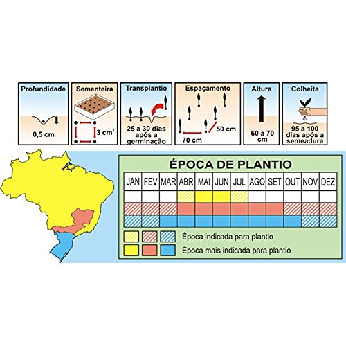 Sementes de Brócolis Ramoso Santana Pcte C/ 100 Gramas