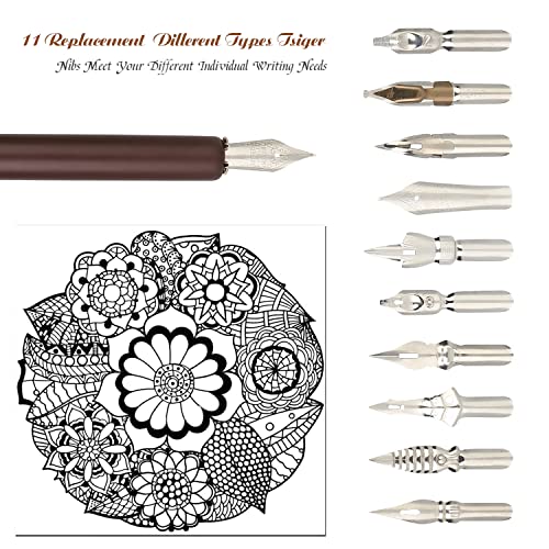 Hohuhu HO-Q-301 Hhhouu Calligraphy Set For Beginners Quill Pen And Ink Set Fancy Pens thumb #3
