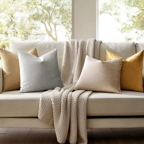 Image of MIULEE Velvet Throw Pillow Covers 18x18 Inch, Pack of 2 - Champagne, Super Soft Decorative Square Cushion Cases Modern Luxury Home Decor for Sofa, Couch, Bed, Chair with Invisible Zipper