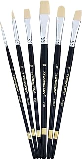 Transon Paint Brush Set 6pcs Art Painting Synthetic Bristle for Acrylic Watercolor Gouache Oil Leather Canvas and Face Pai...