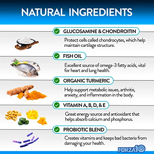 Forza10 Dog Vitamins Supplements, Dog Multivitamin Chews, Pet Vitamins For Dogs, Peanut Butter Flavor Dog Supplement, Multivitamin For Dogs, Senior Dog & Puppy Vitamins, Small To Large Breeds, 90 Ct. #TOP2