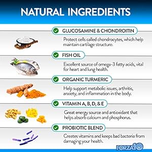 Forza10 Dog Vitamins Supplements Dog Multivitamin Chews Pet Vitamins for Dogs Peanut Butter Flavor Dog Supplement Multivitamin for Dogs Senior Dog  Puppy Vitamins Small to Large Breeds 90 Ct  Cucciolini Doodles Forza10 dog vitamins supplements dog multivitamin chews pet vitamins for dogs peanut butter flavor dog supplement multivitamin for dogs senior dog  puppy vitamins small to large breeds 90 ct   cucciolini doodles