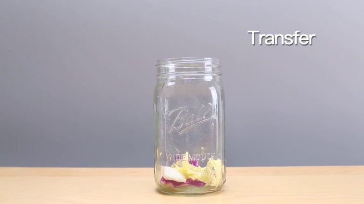 Fermentology Saur Stone glazen gewichten - beits- en vergistingsgewichten - Set van 4 - Brede Mond Mason Jar Fermentatie