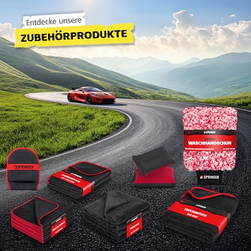 SPRINGER GX1000 - - Insektenentferner 750 ml - - Made in Germany - - Schonende Rezeptur - - Tiefenwirksame Formel - - Insekten-Reiniger für hartnäckige & angetrocknete Insektenreste