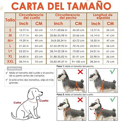 Consejos y reviews para comprar Chaqueta reflectante al mejor precio. 21 Imagen adicional