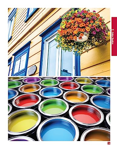 Painting: Interior and Exterior Painting Step by Step (Creative Homeowner) Beginner-Friendly Guide - Repair and Prep Surfaces, Select Equipment, Paint Like a Pro, Tips, and More (Home Improvement) - Image 7