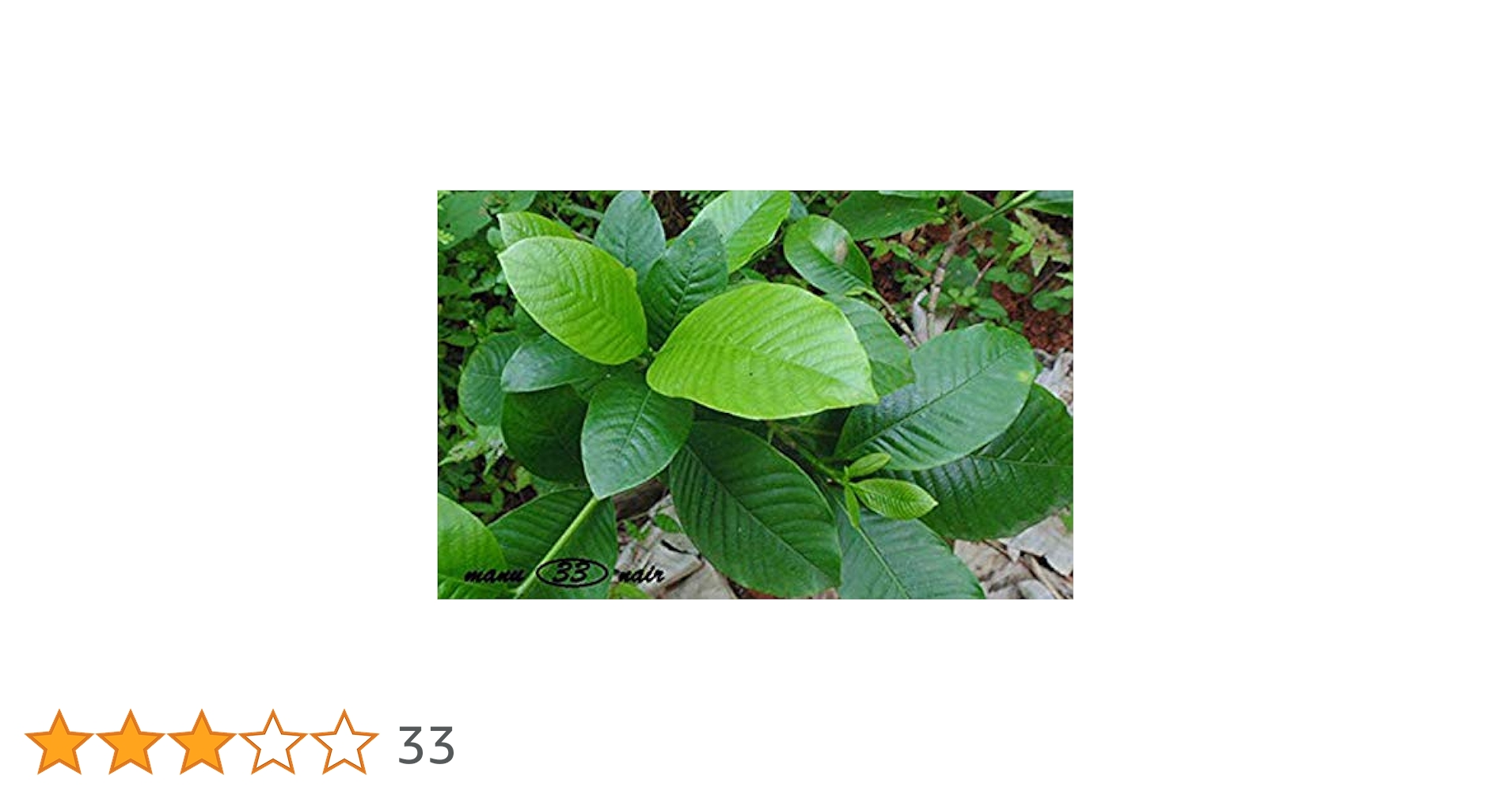 Men kaltakni sikmoqchiman