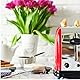 Toast Rack Edelstahl Toastständer für Toaster :Faltbarer Toaster Warming Rack mit Griff, Toastergrill und Staubschutzzubehör Ersatz Brot Toast ständer Warming Ständer