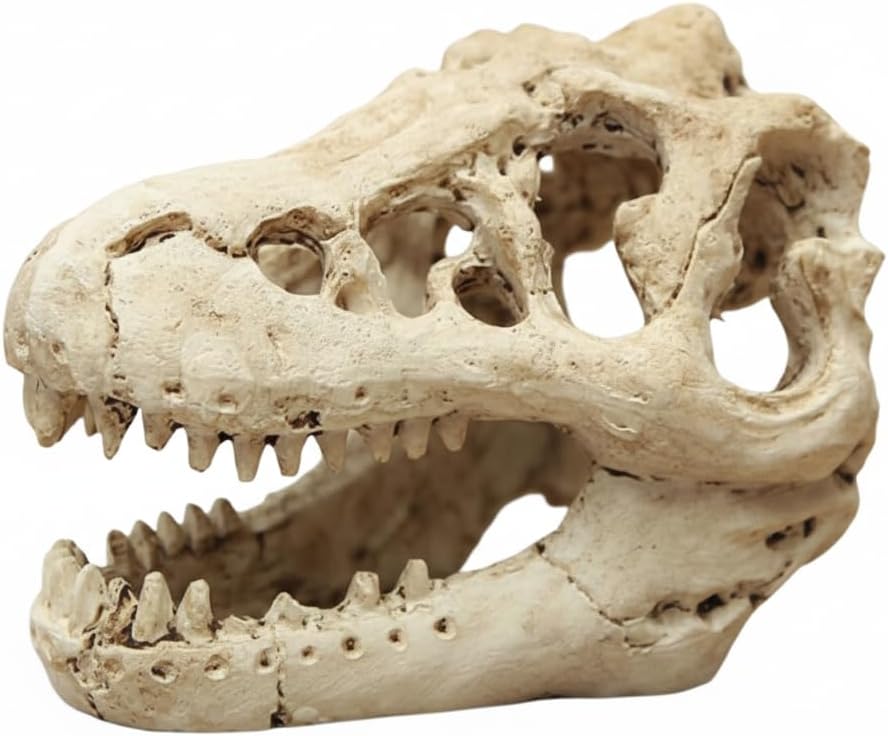 Dinosaur Skull Aquarium Decor