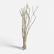Willow Branch Diffuser Reeds, 25pcs, 10.5 inches, Natural Wooden Reed Diffuser Sticks, Decorative Branches, Essential Oil, Aromatherapy, Natural Home Decor White