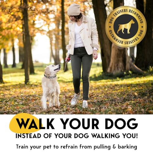 Image of PetJett Prong Collar for Dogs - Adjustable Dog Training Collar Choke Collar for Dogs Pinch Collar for Dog, Quick Release Walking Tool for Small Medium Large Breed - Stainless Steel Metal Choker Chain