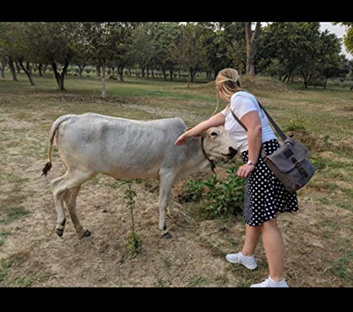 Topwolfs Canvas Messenger Bag Small Crossbody Bag Casual Travel Working Tools Bag Shoulder Bag Hold Phone Handset Anti Theft #TOP6