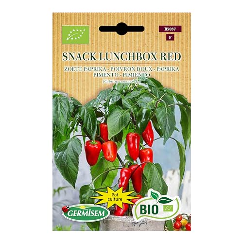Poivron doux Snack Lunchbox Red