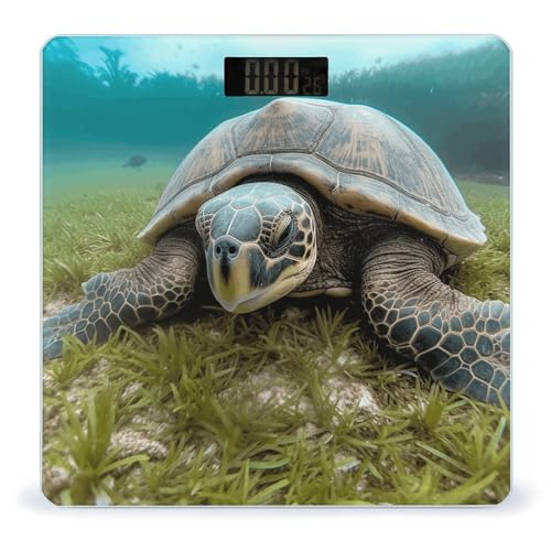 Báscula digital de baño Big Tortoise alta precisión